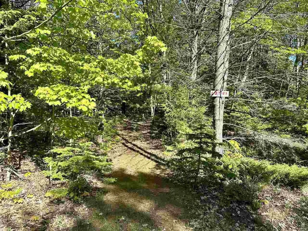 Lots 56 & 57 Spaulding Drive Peaine Township MI 49782
