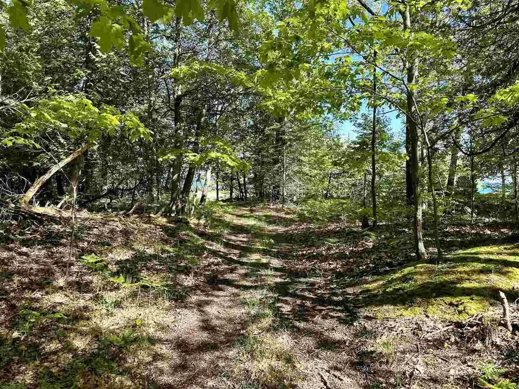 Lots 56 & 57 Spaulding Drive Peaine Township MI 49782