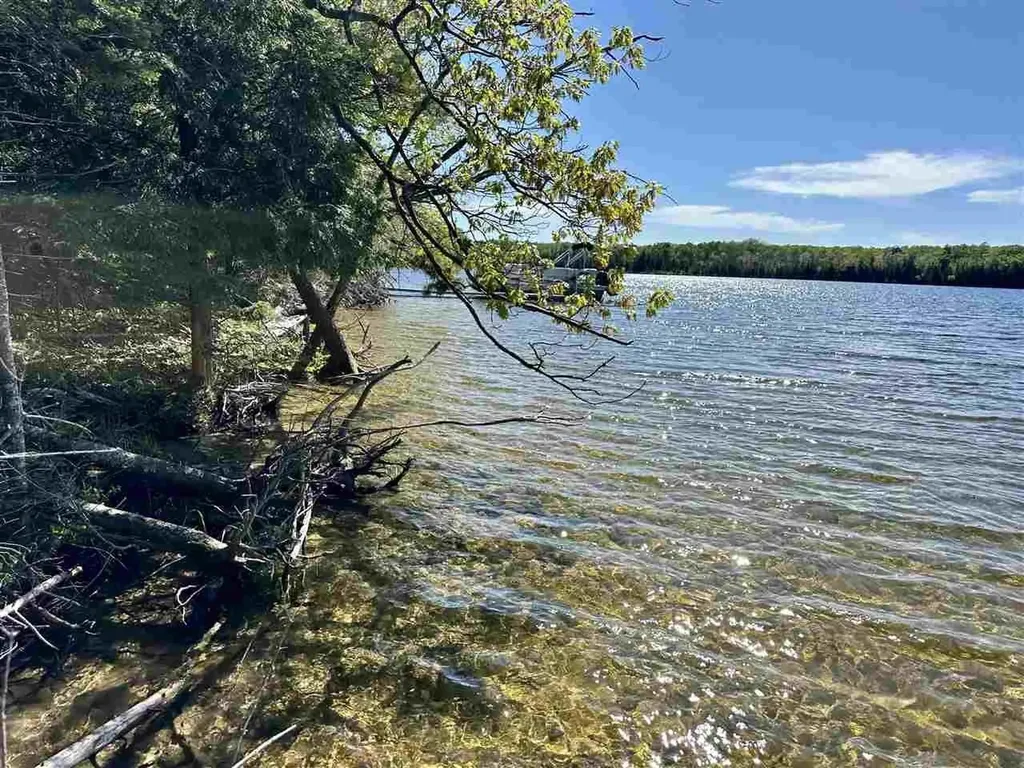 Lots 56 & 57 Spaulding Drive Peaine Township MI 49782
