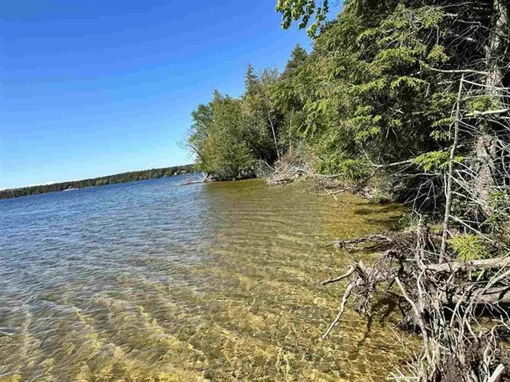 Lots 56 & 57 Spaulding Drive Peaine Township MI 49782