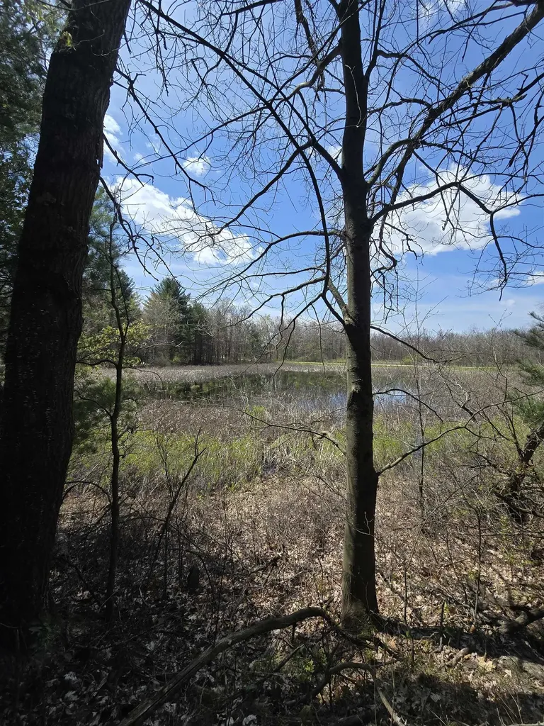 Tbd E Baseline Road Big Prairie Township MI 49349