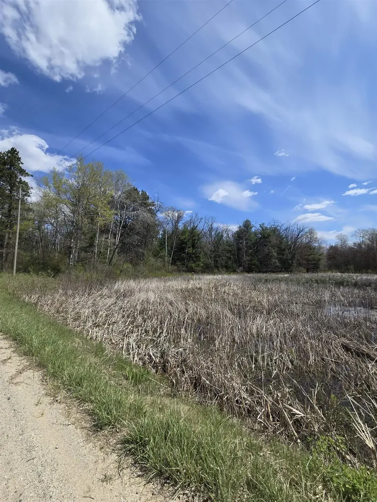 Tbd E Baseline Road Big Prairie Township MI 49349