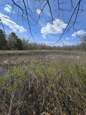 TBD E Baseline Road Big Prairie Township MI 49349