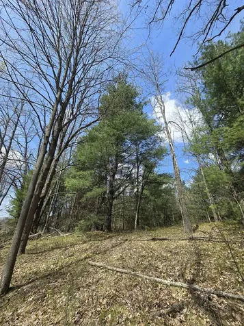 TBD E Baseline Road Big Prairie Township MI 49349