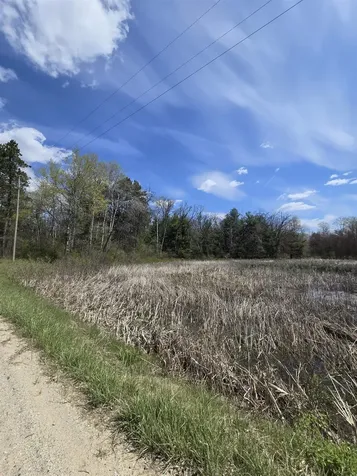 TBD E Baseline Road Big Prairie Township MI 49349