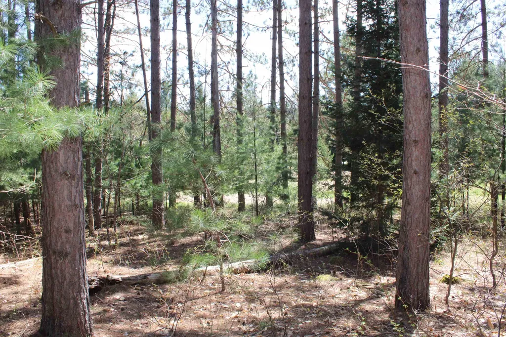 Valley Road Clearwater Township MI 49676