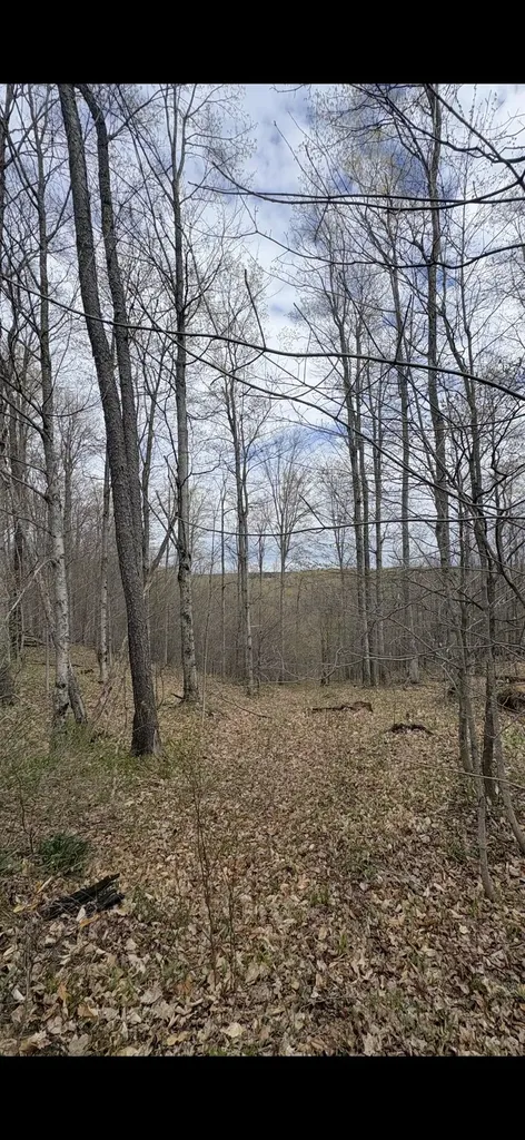 Valley Road Clearwater Township MI 49676