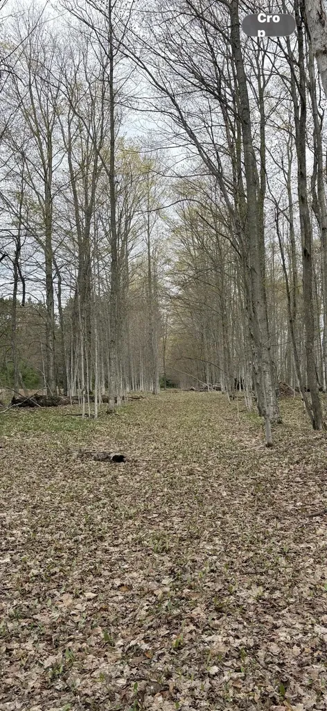 Valley Road Clearwater Township MI 49676