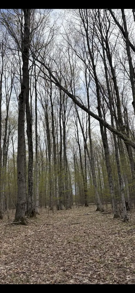 Valley Road Clearwater Township MI 49676
