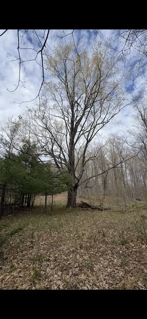 Valley Road Clearwater Township MI 49676