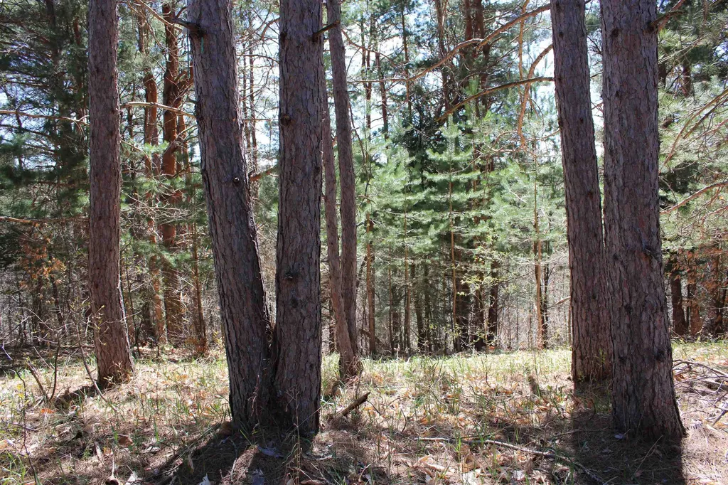 Valley Road Clearwater Township MI 49676