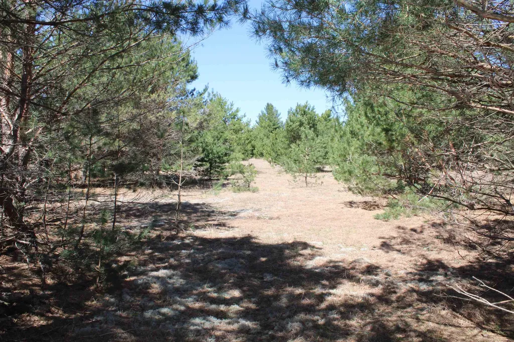 Valley Road Clearwater Township MI 49676