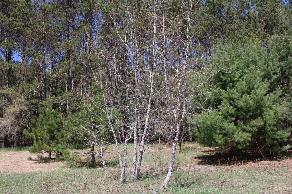 Valley Road Clearwater Township MI 49676