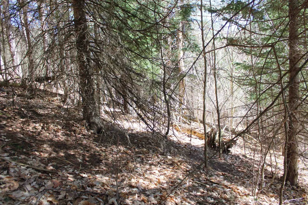 Valley Road Clearwater Township MI 49676