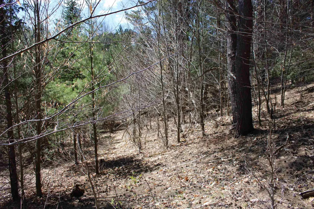 Valley Road Clearwater Township MI 49676