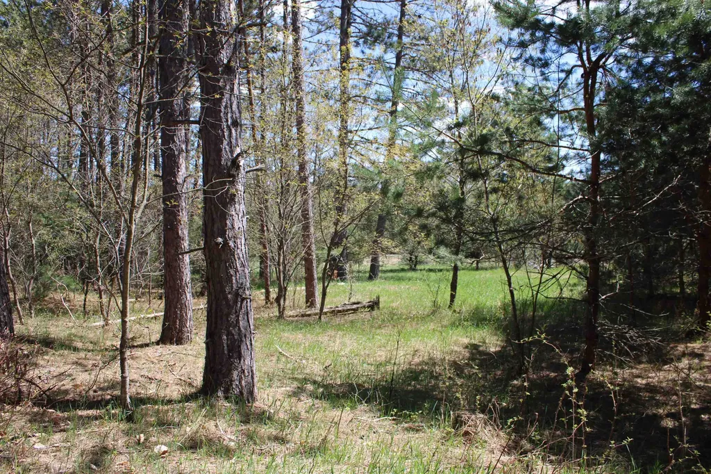 Valley Road Clearwater Township MI 49676