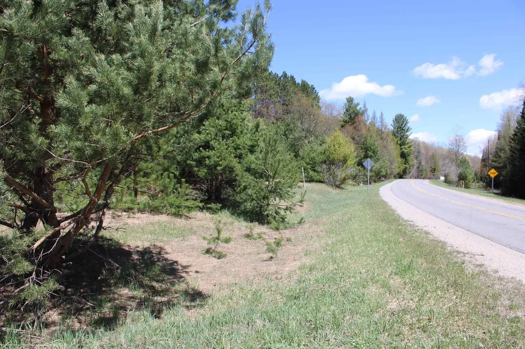 Valley Road Clearwater Township MI 49676