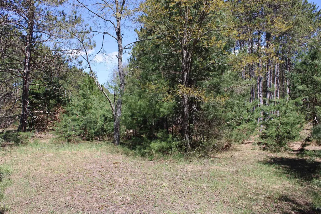 Valley Road Clearwater Township MI 49676