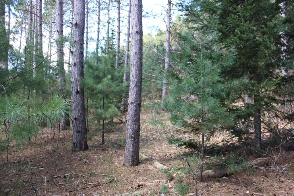 Valley Road Clearwater Township MI 49676
