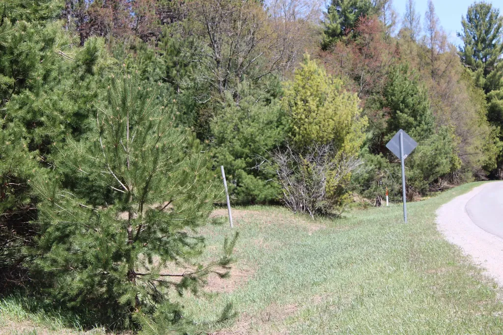 Valley Road Clearwater Township MI 49676