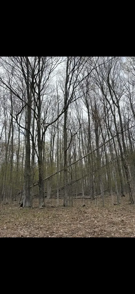 Valley Road Clearwater Township MI 49676