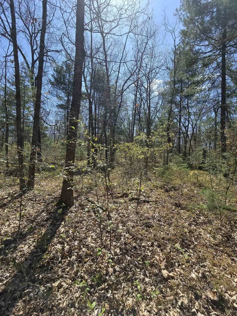 Tbd S Locust Avenue Big Prairie Township MI 49349