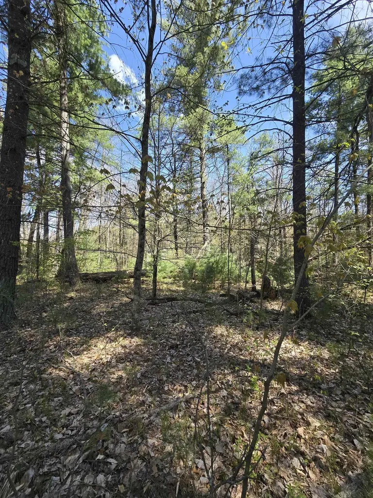 Tbd S Locust Avenue Big Prairie Township MI 49349