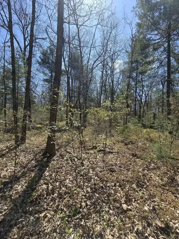 TBD S Locust Avenue Big Prairie Township MI 49349