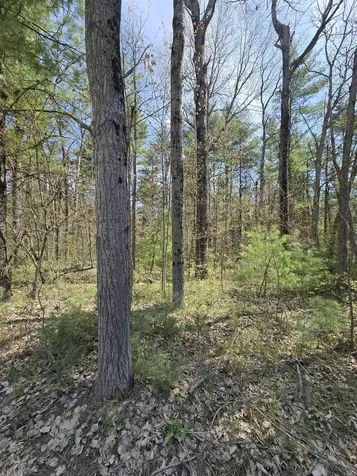 TBD S Locust Avenue Big Prairie Township MI 49349