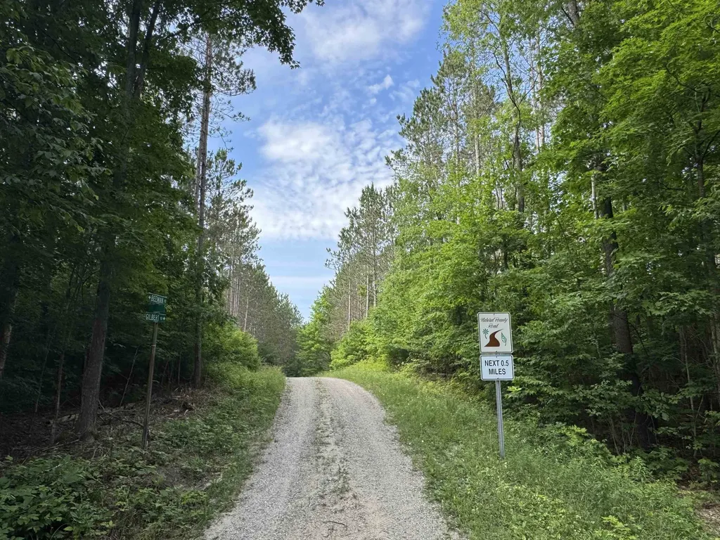 00 W Beeman Road Kasson Township MI 49630