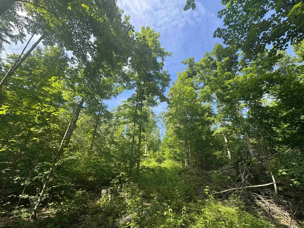 00 W Beeman Road Kasson Township MI 49630