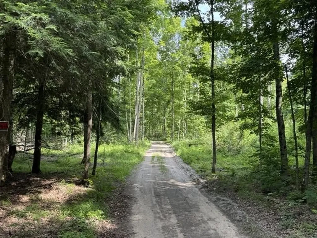 00 W Beeman Road Kasson Township MI 49630
