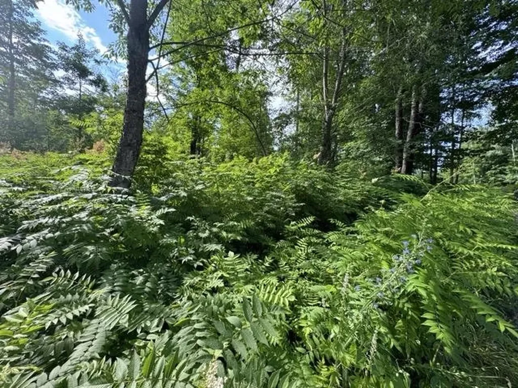 00 W Beeman Road Kasson Township MI 49630