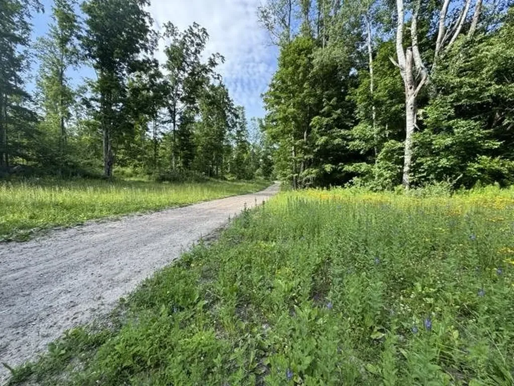 00 W Beeman Road Kasson Township MI 49630
