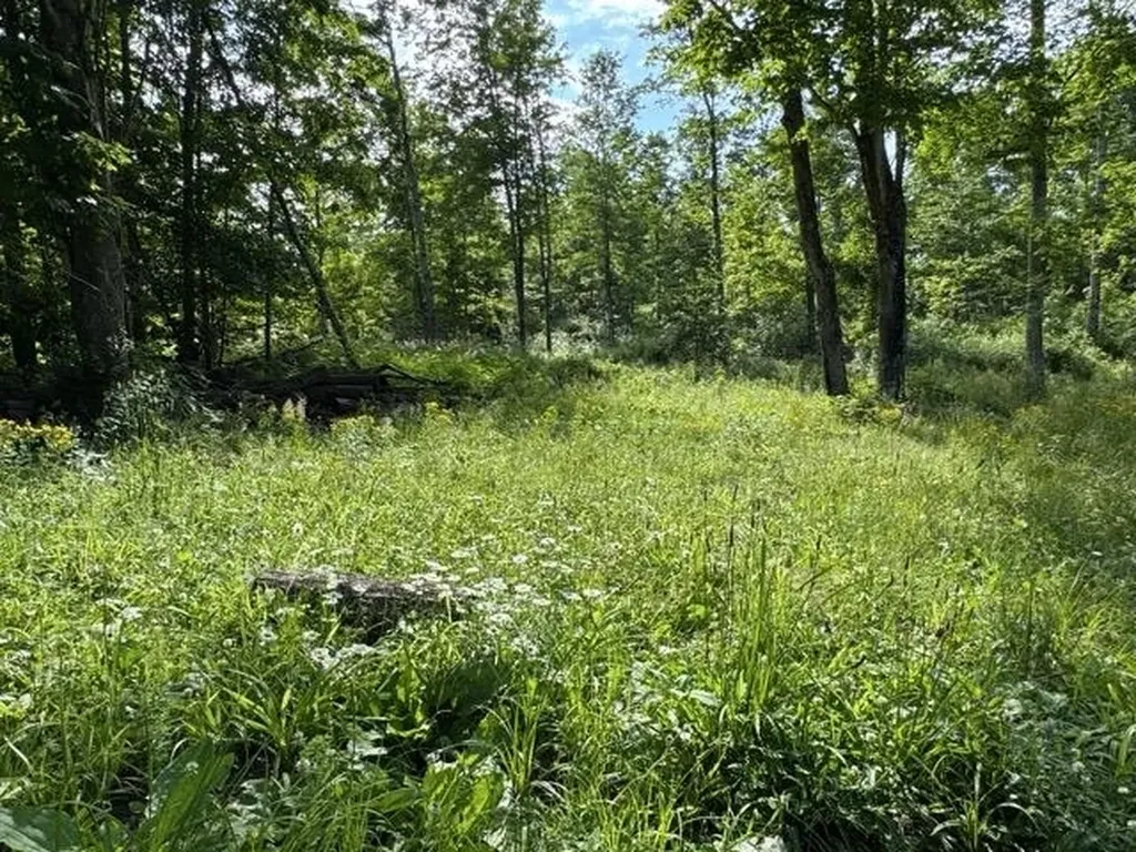00 W Beeman Road Kasson Township MI 49630