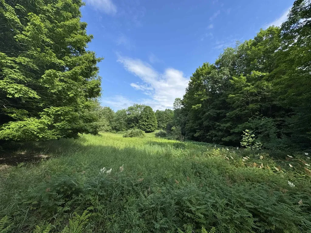 00 W Beeman Road Kasson Township MI 49630