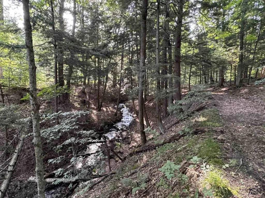 00 W Beeman Road Kasson Township MI 49630
