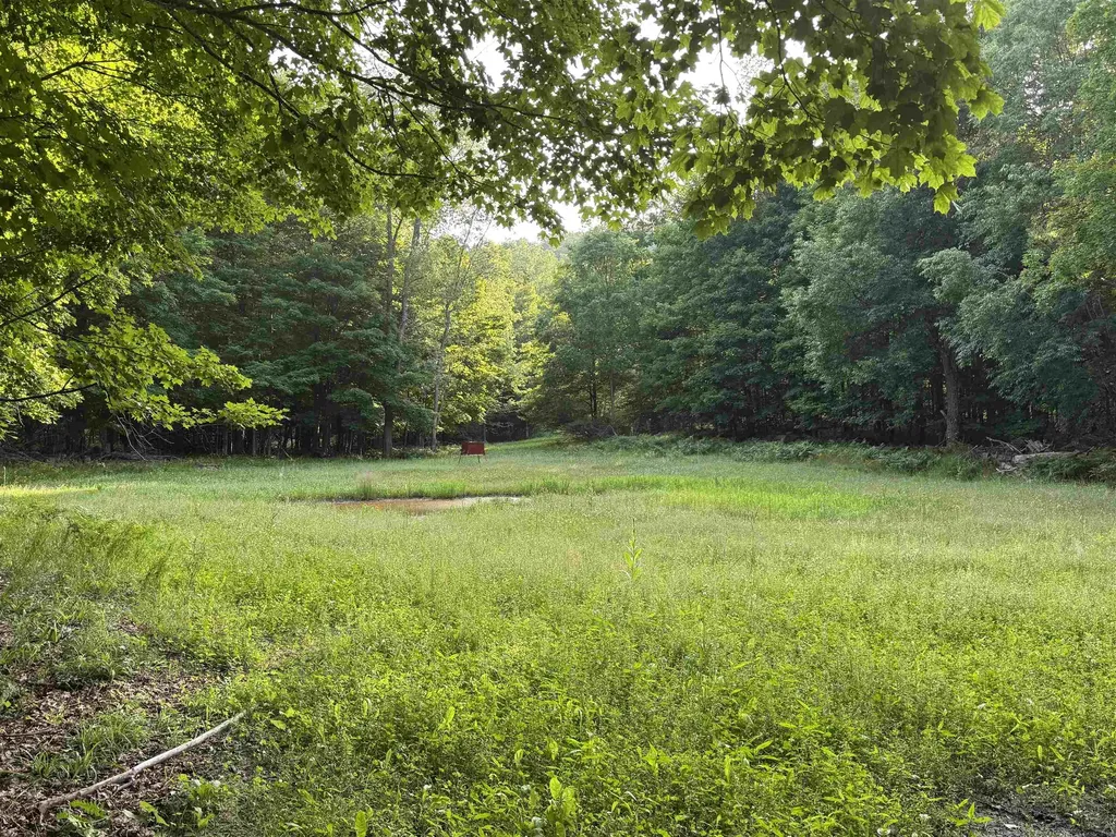 00 W Beeman Road Kasson Township MI 49630