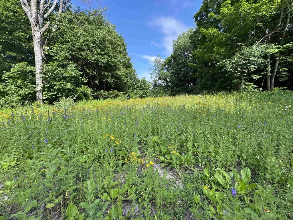 00 W Beeman Road Kasson Township MI 49630