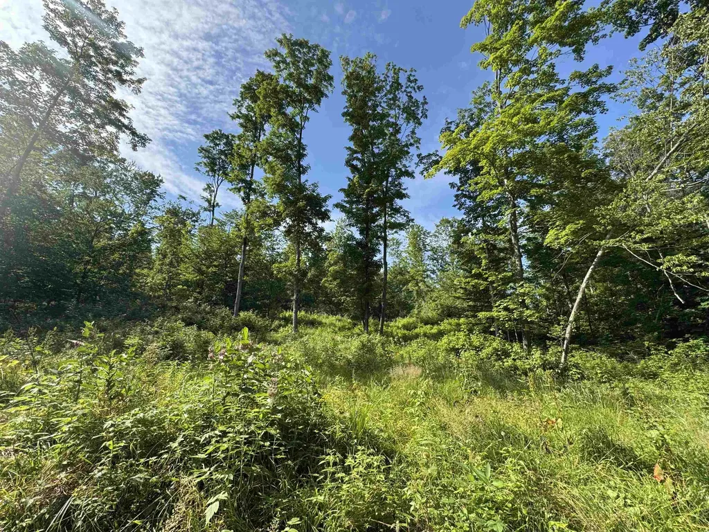 00 W Beeman Road Kasson Township MI 49630
