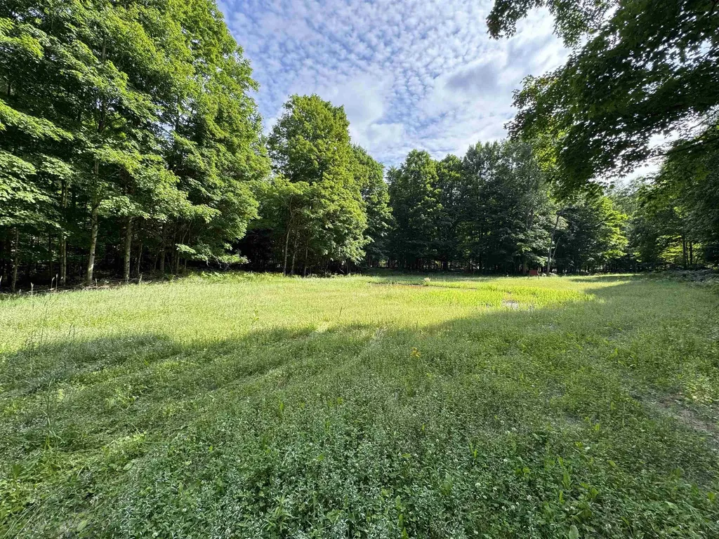 00 W Beeman Road Kasson Township MI 49630
