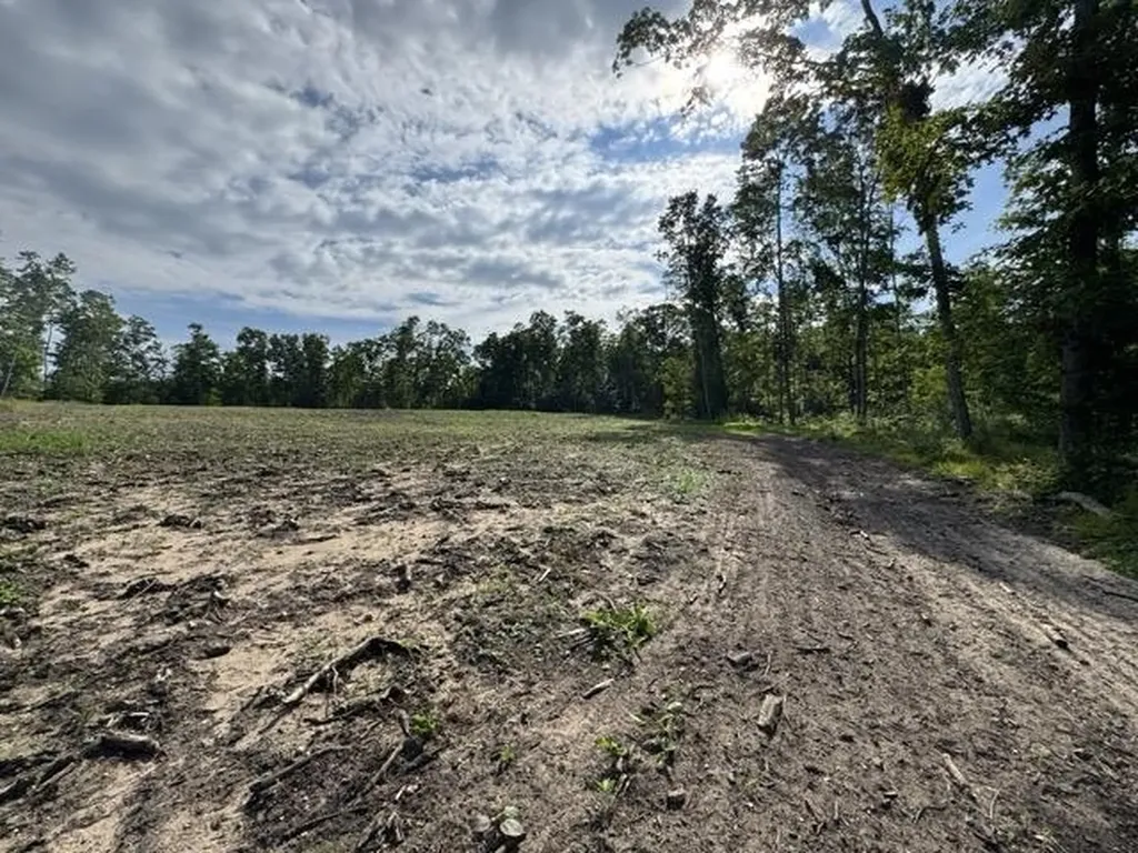00 W Beeman Road Kasson Township MI 49630