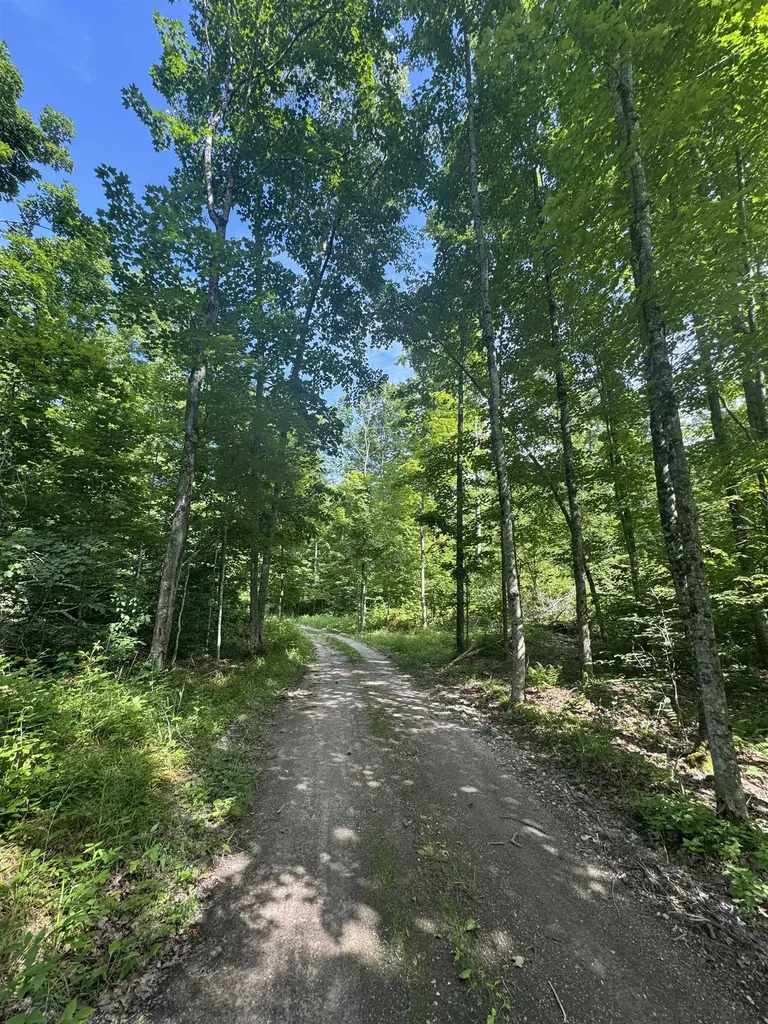 00 W Beeman Road Kasson Township MI 49630