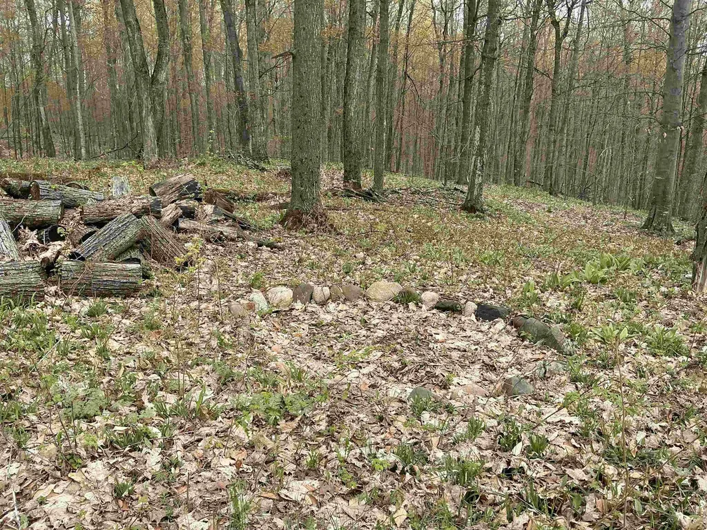 20 Acres Zimmerman Road Clearwater Township MI 49676