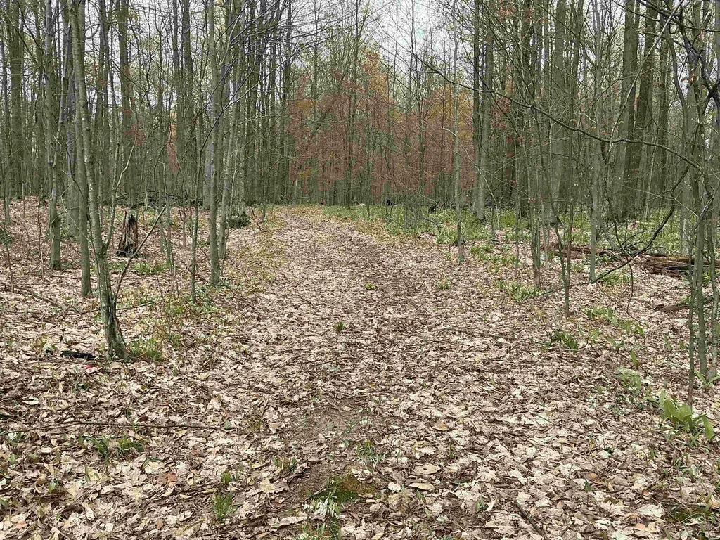 20 Acres Zimmerman Road Clearwater Township MI 49676