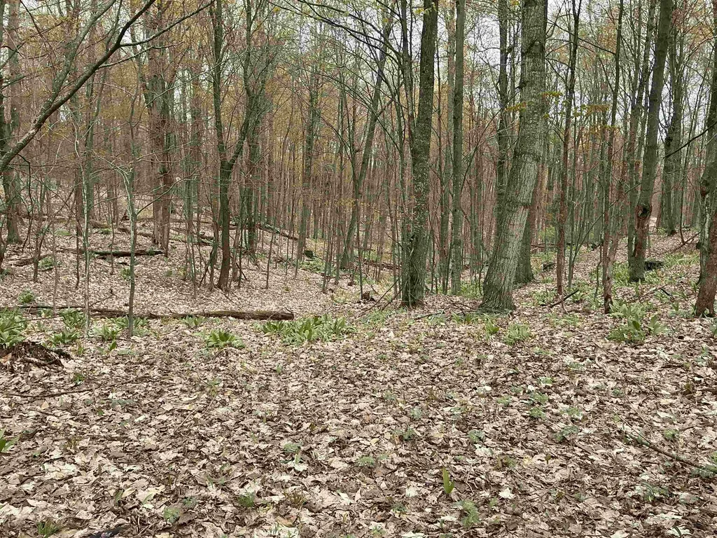 20 Acres Zimmerman Road Clearwater Township MI 49676