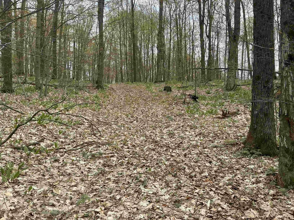 20 Acres Zimmerman Road Clearwater Township MI 49676