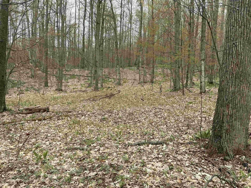 20 Acres Zimmerman Road Clearwater Township MI 49676