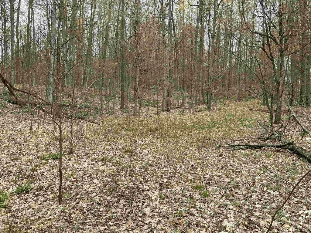 20 Acres Zimmerman Road Clearwater Township MI 49676