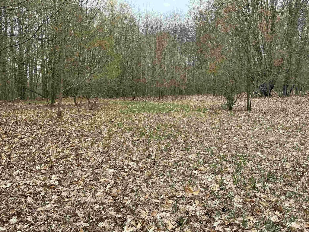 20 Acres Zimmerman Road Clearwater Township MI 49676